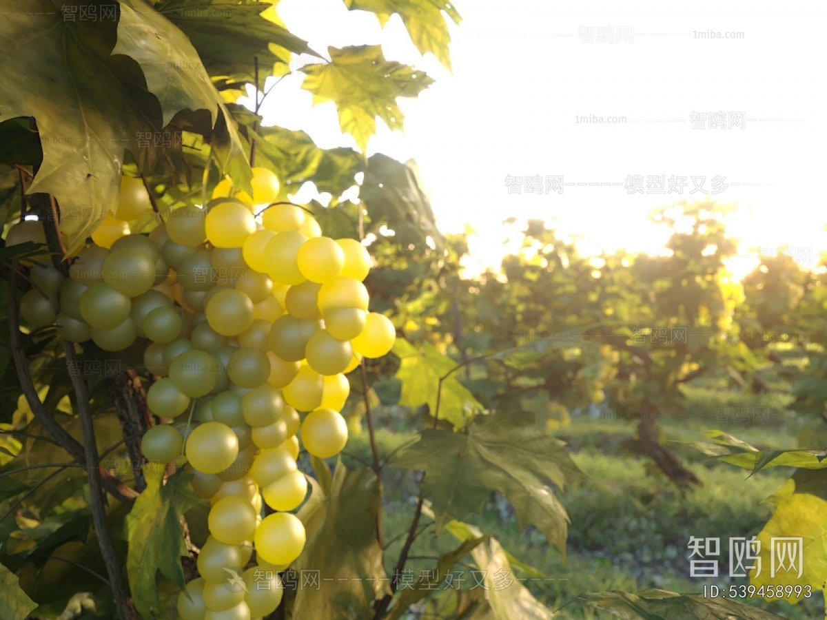 Modern Garden Landscape