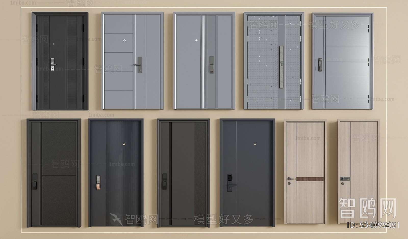 Modern Entrance Door