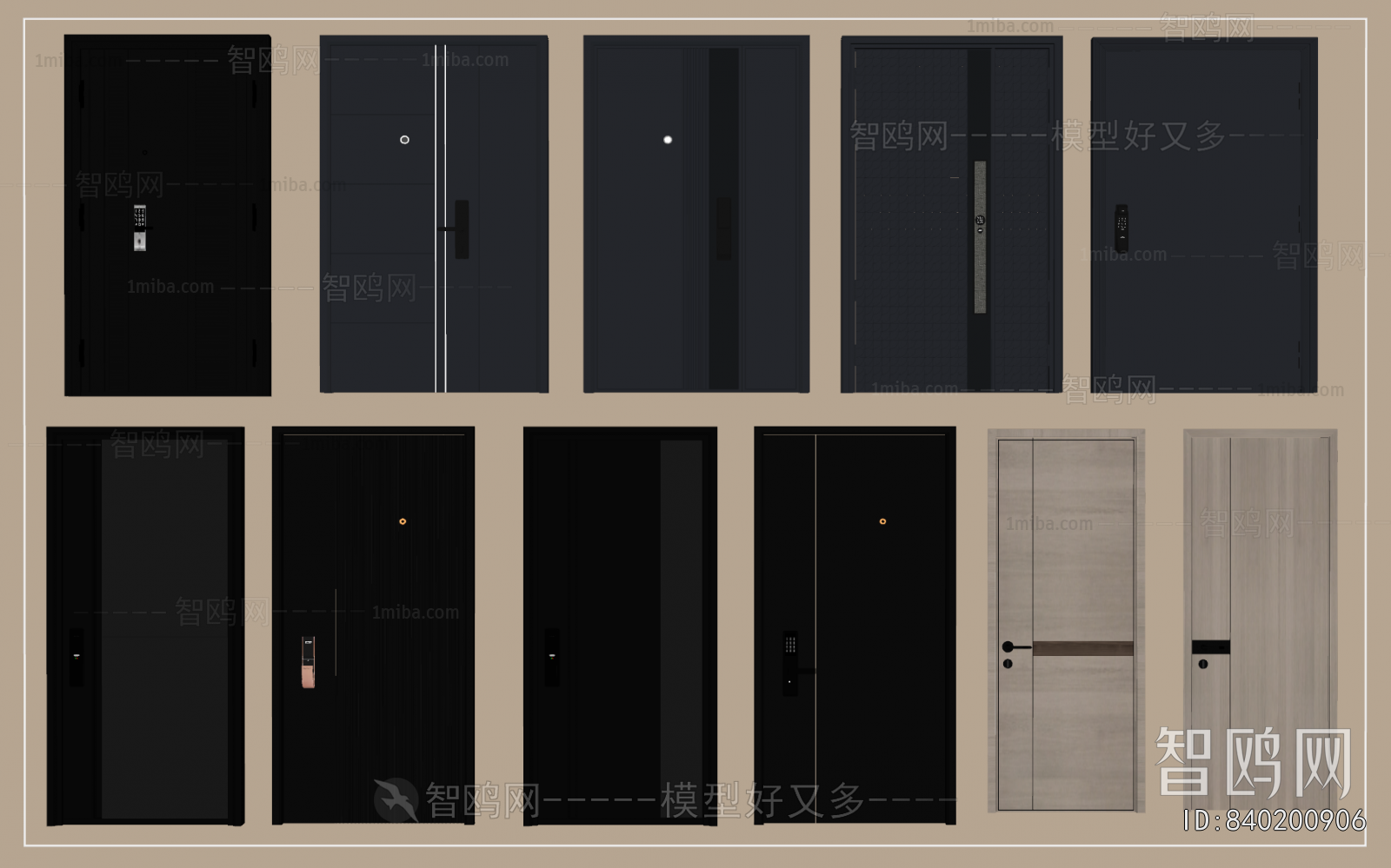 Modern Entrance Door