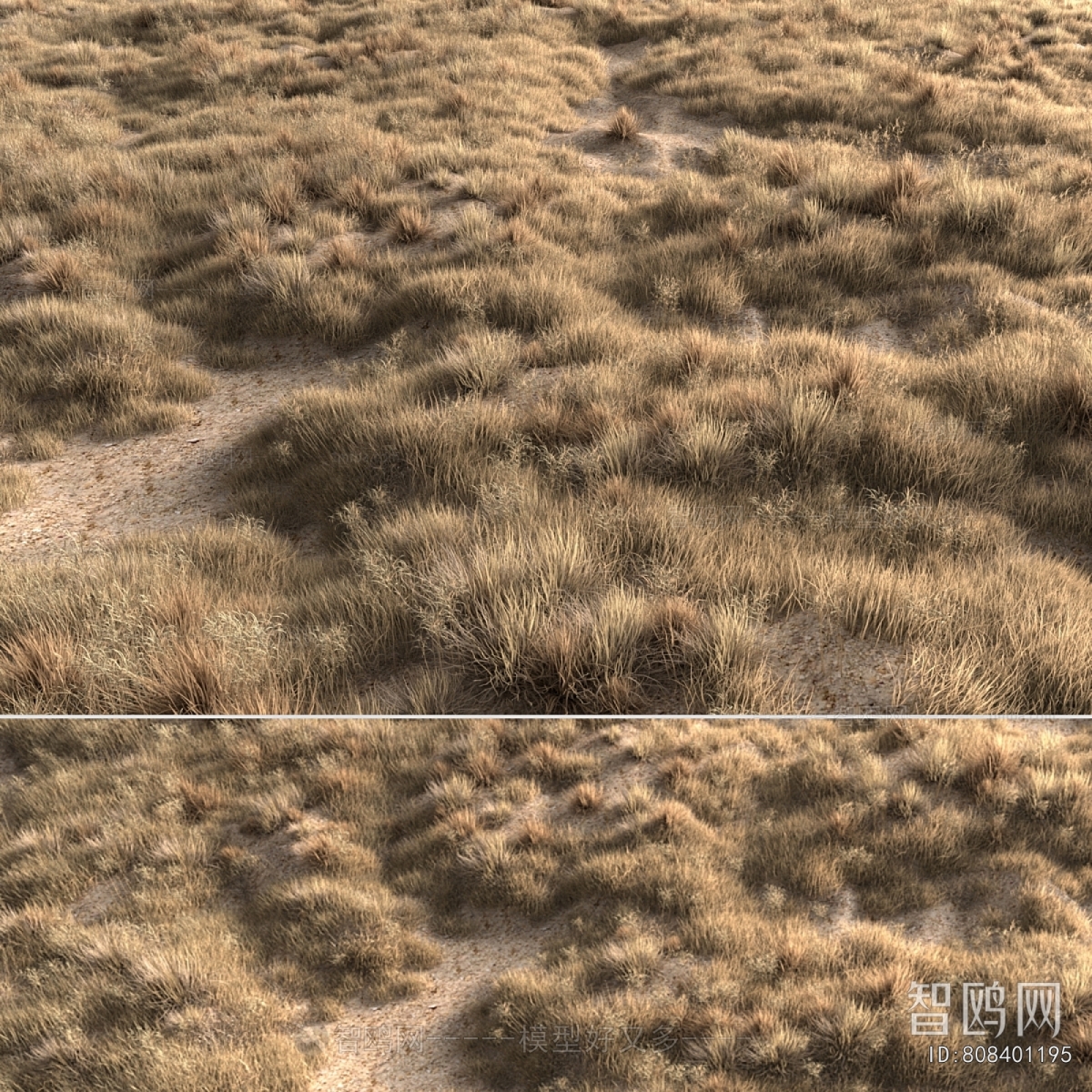 Modern Flowers And Grass