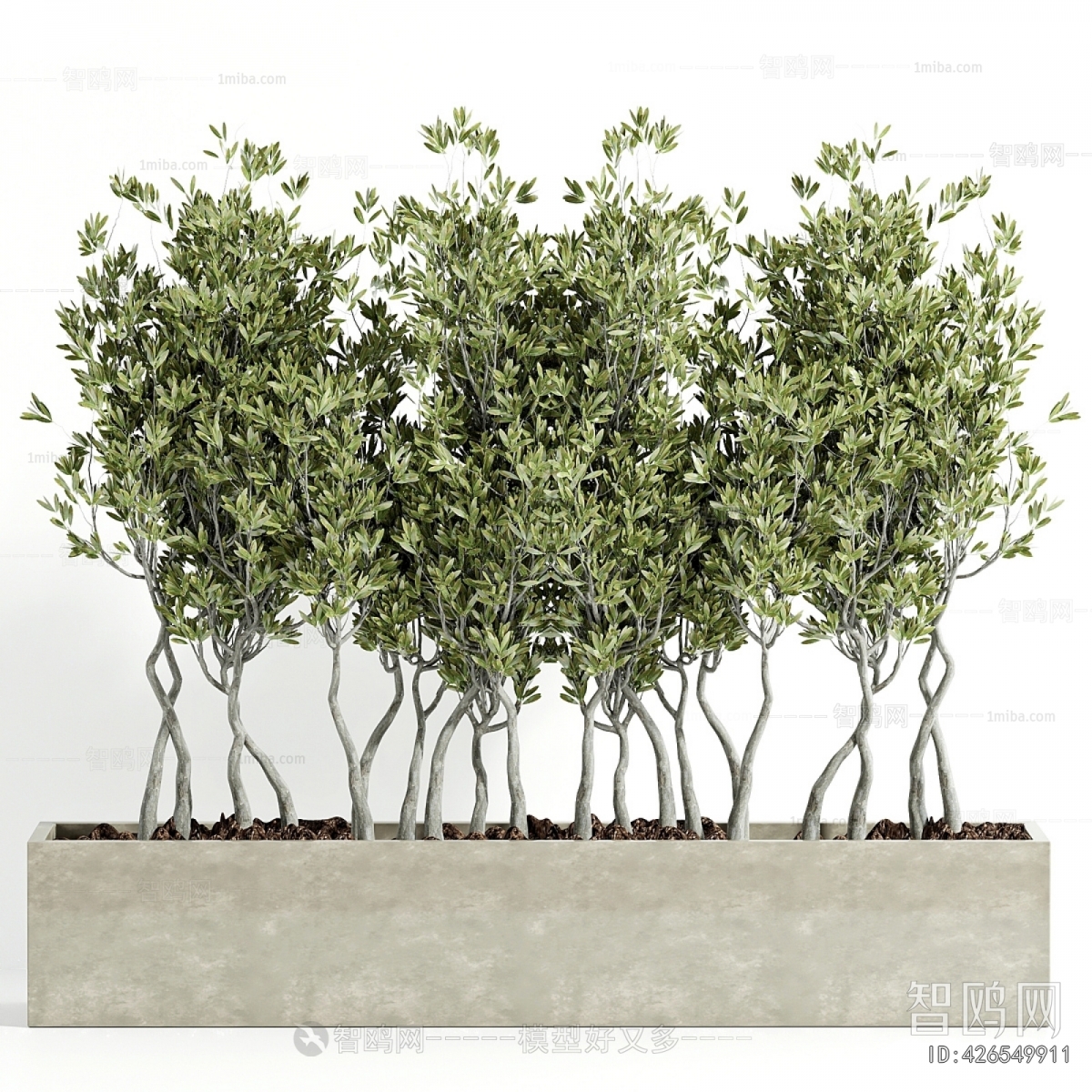 Modern Flower Bed, Flower Bowl, Flower Box