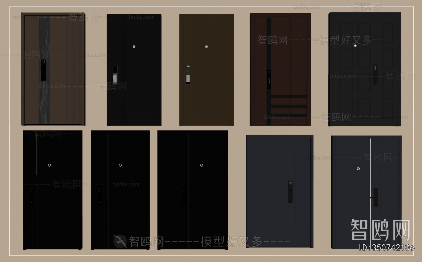 Modern Entrance Door