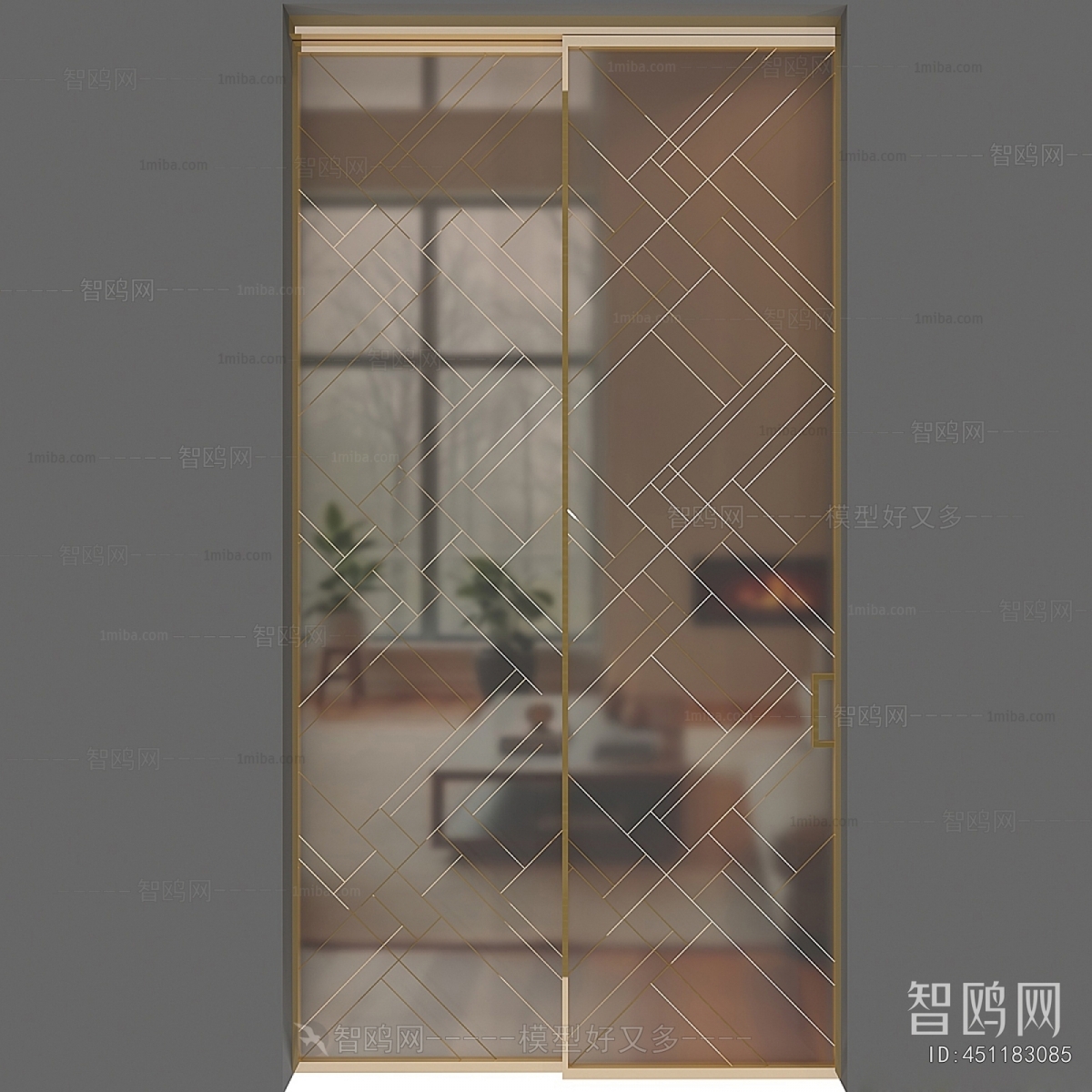 Modern Sliding Door