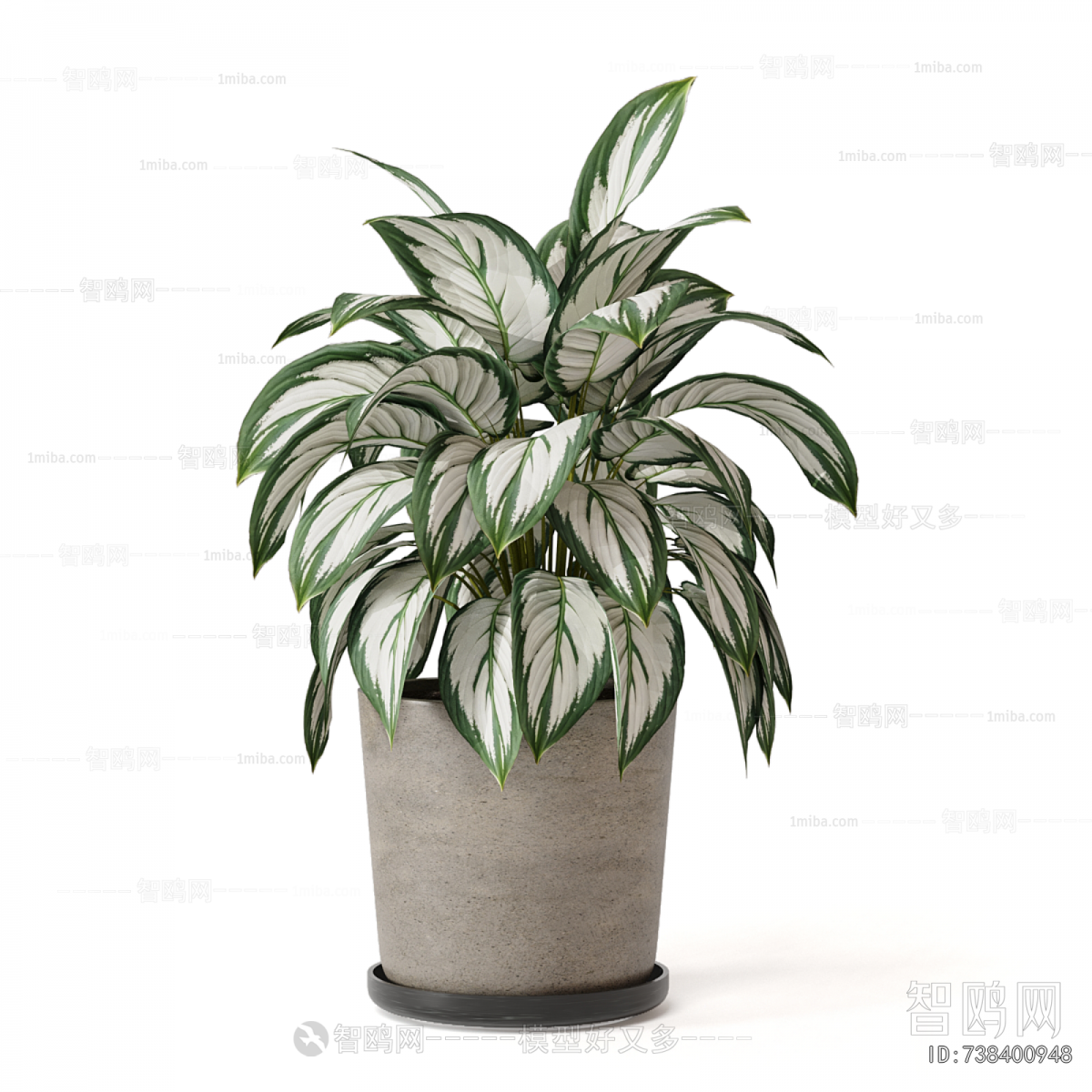 Modern Potted Green Plant