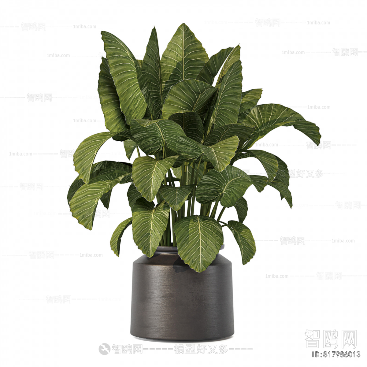 Modern Potted Green Plant