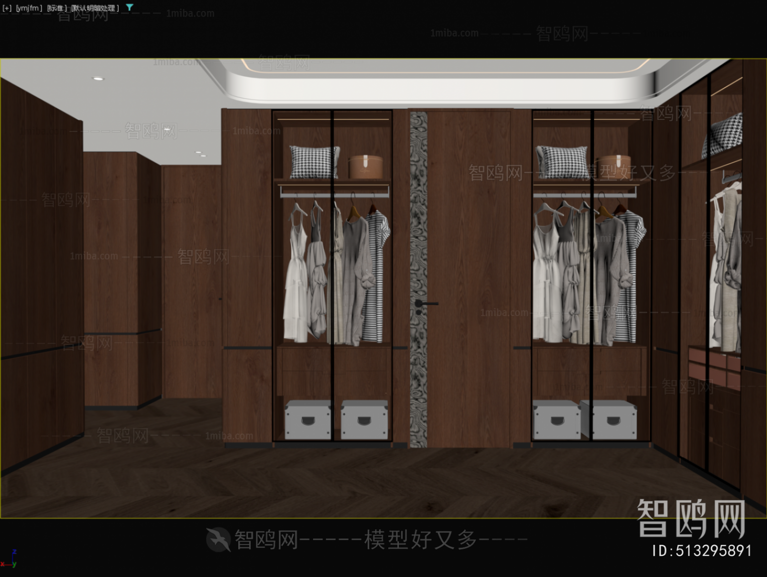 Modern Clothes Storage Area