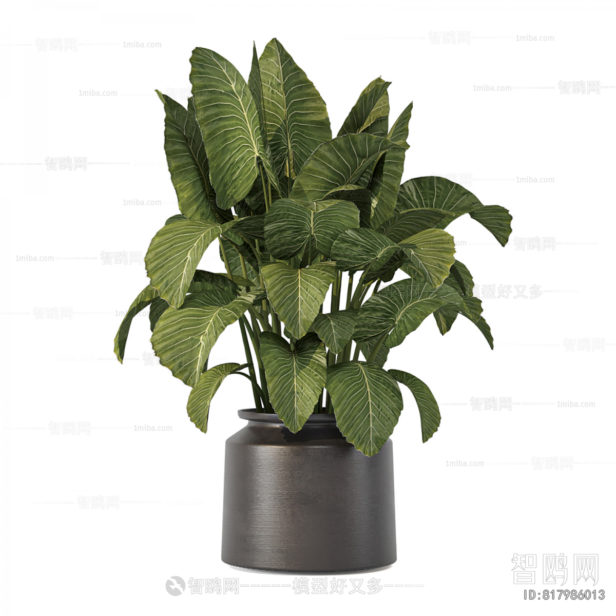 Modern Potted Green Plant