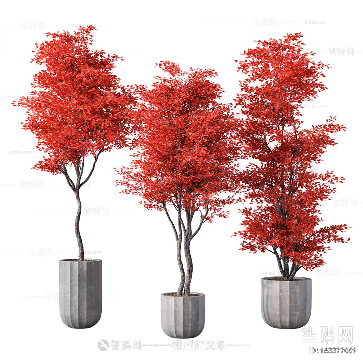 Modern Ground Green Plant Potted Plants