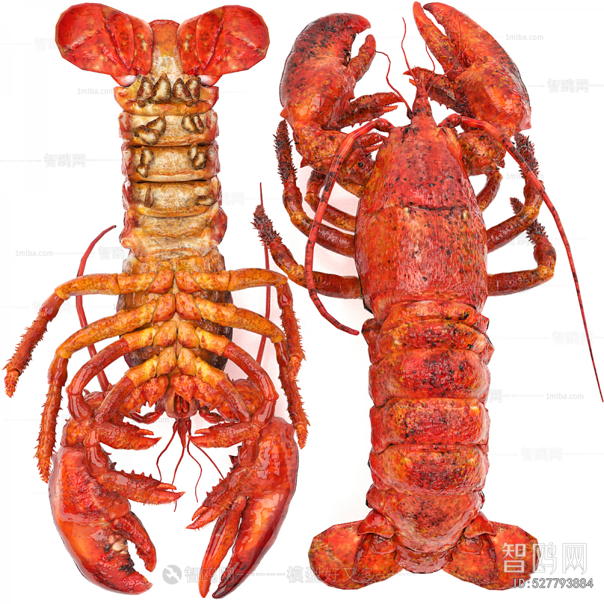 Modern Aquatic Product