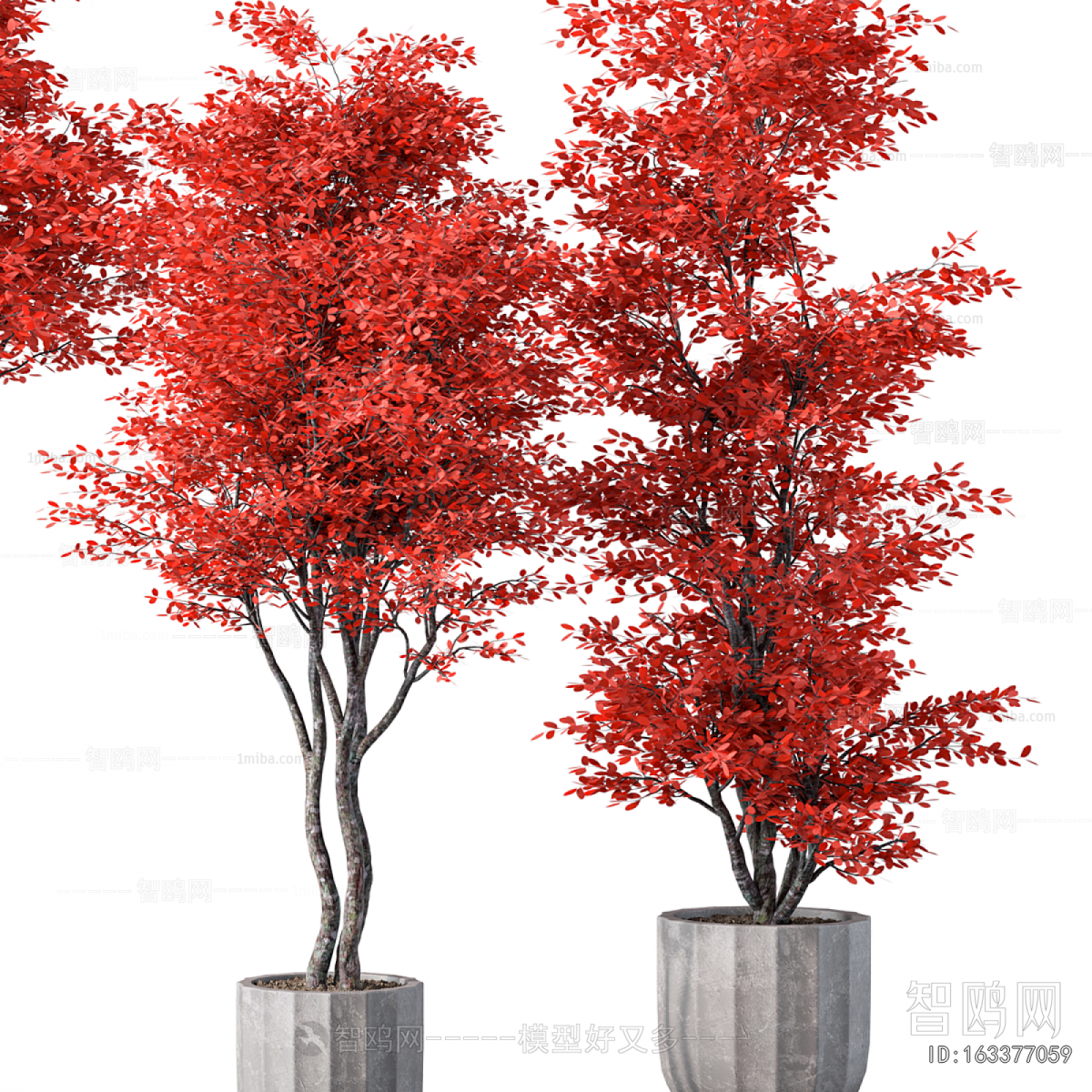 Modern Ground Green Plant Potted Plants