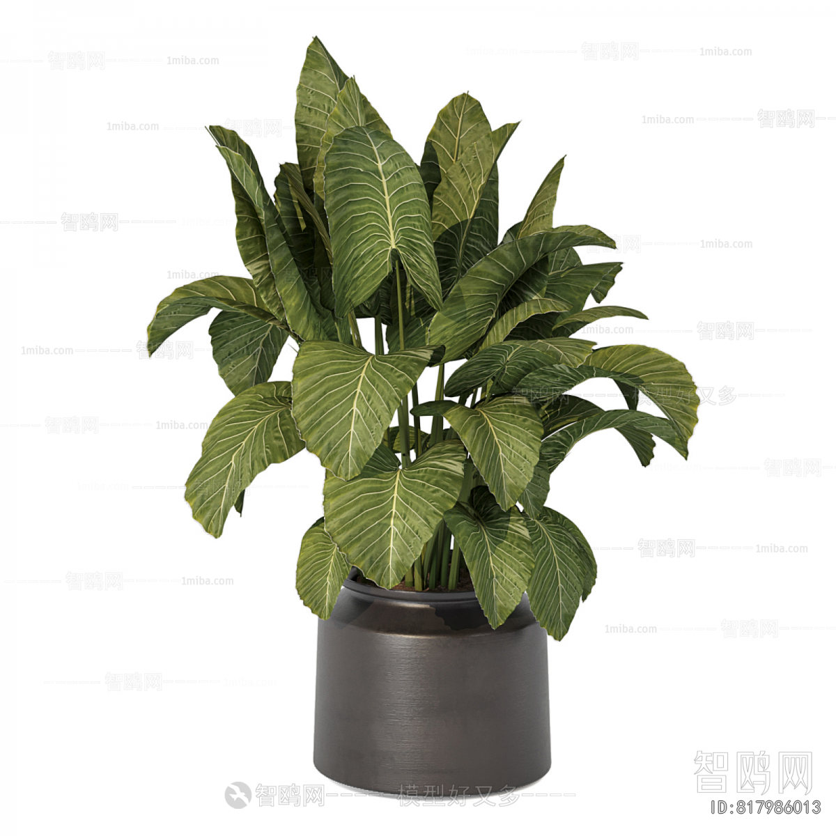 Modern Potted Green Plant