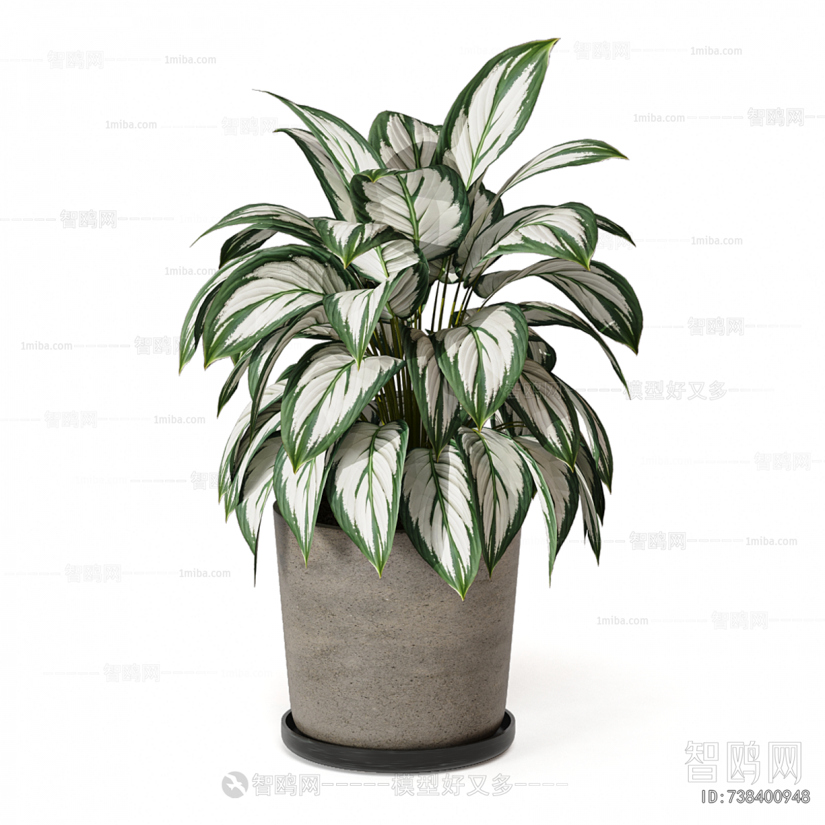 Modern Potted Green Plant