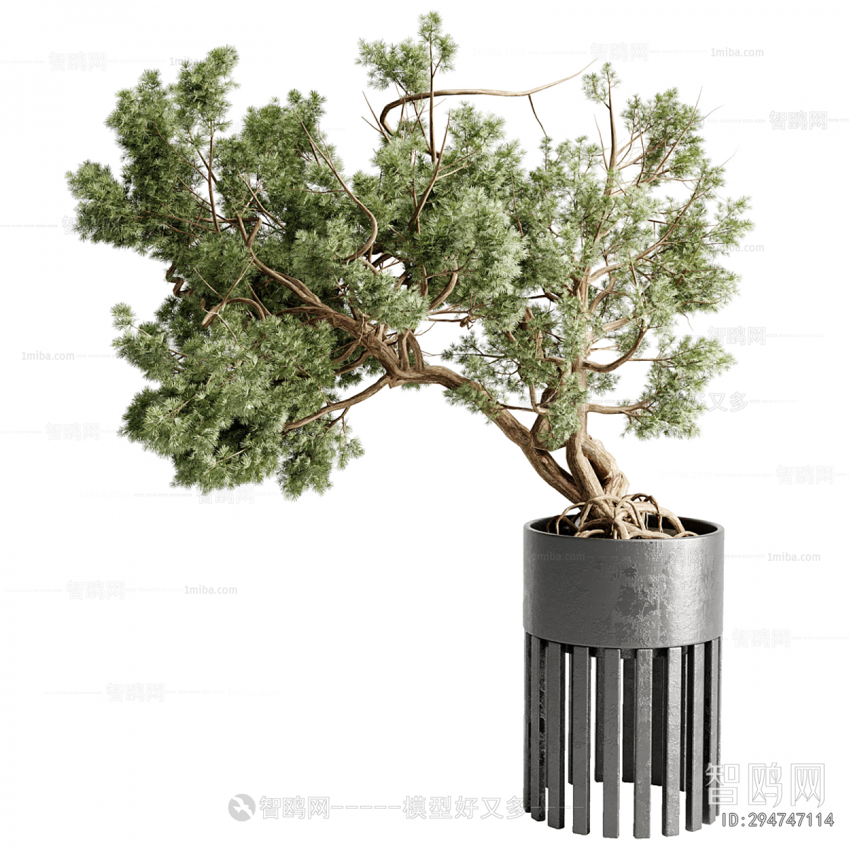 Modern Bonsai