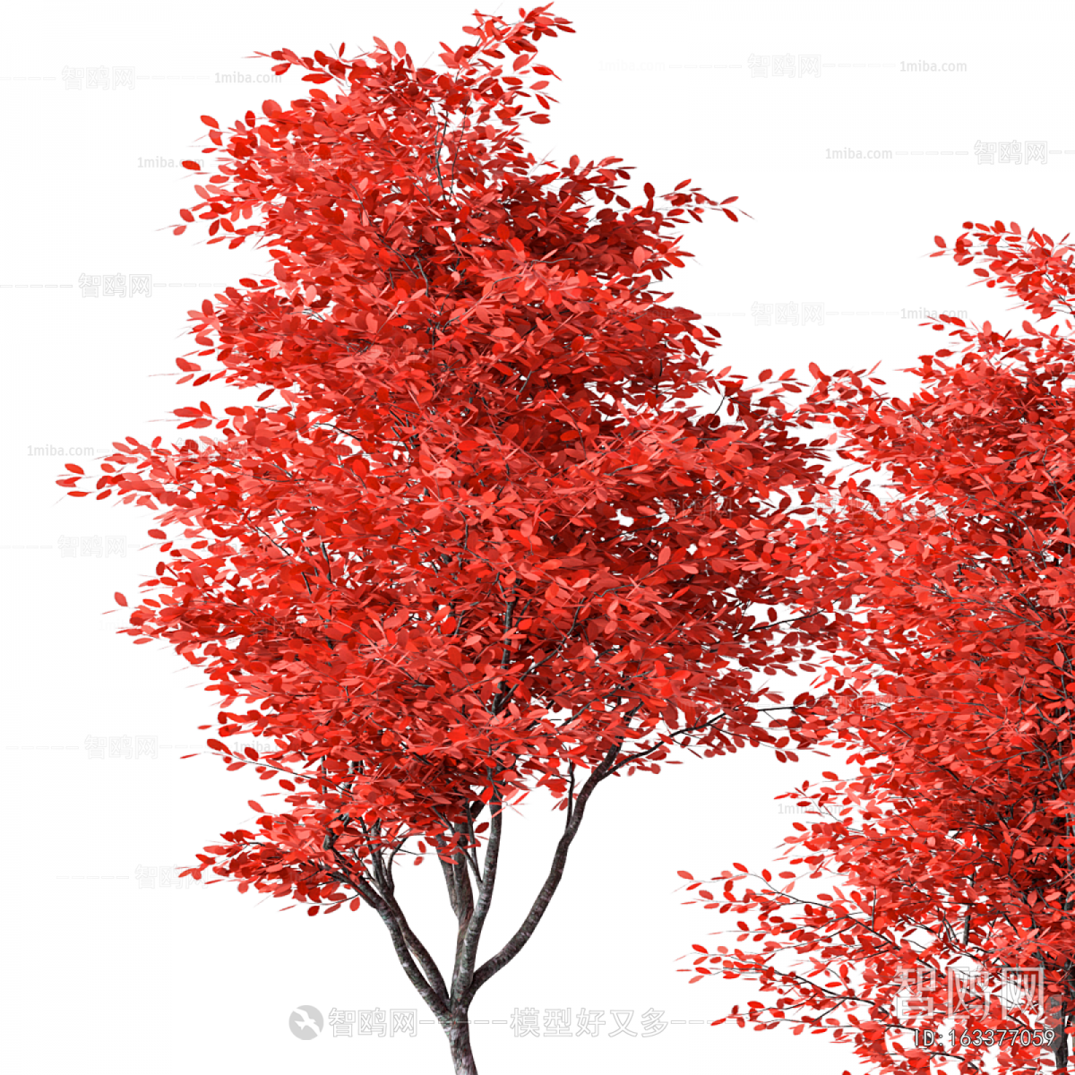 Modern Ground Green Plant Potted Plants