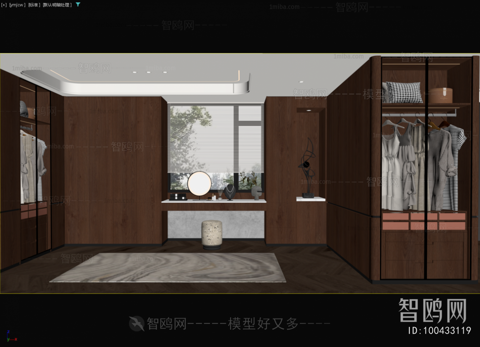 Modern Clothes Storage Area