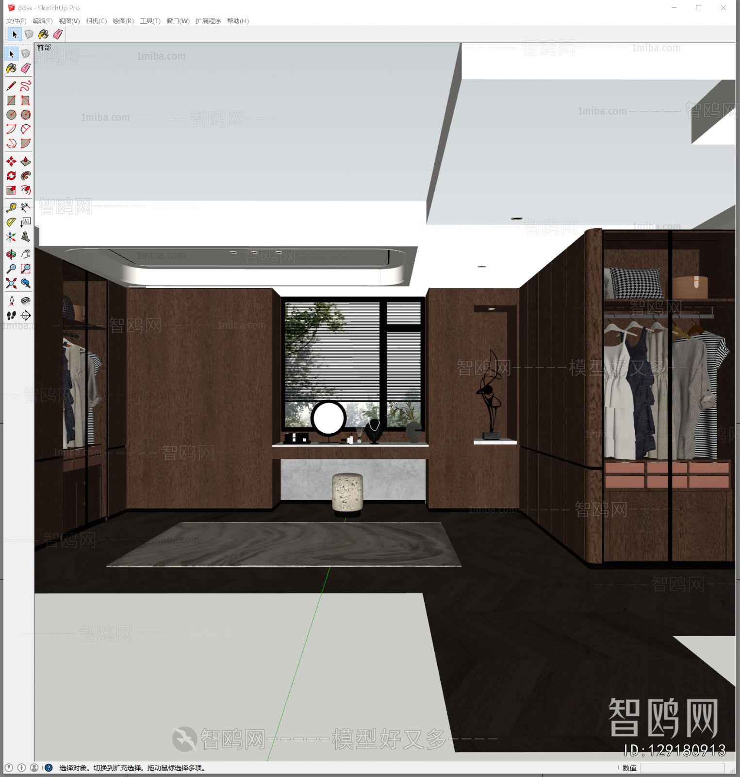 Modern Clothes Storage Area