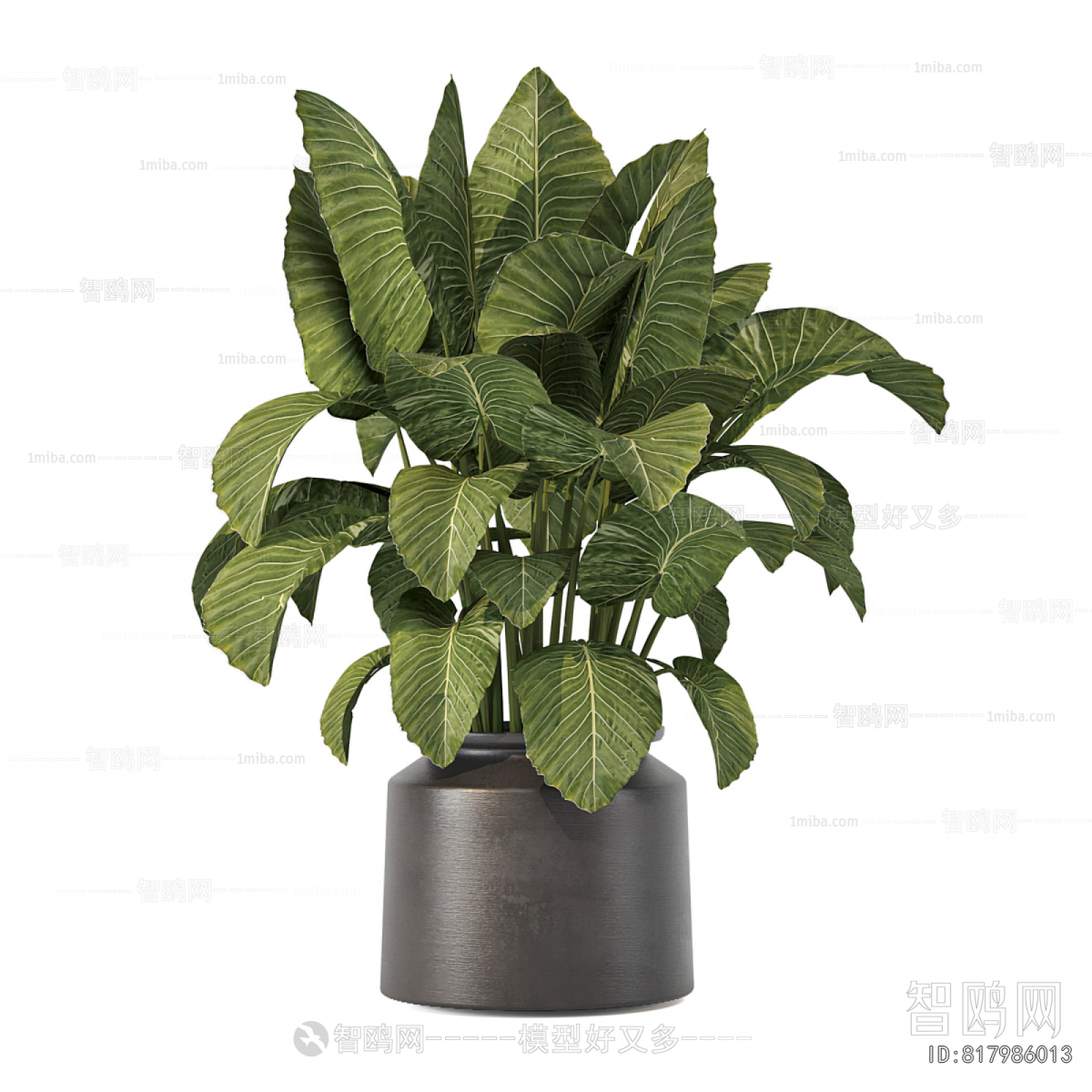 Modern Potted Green Plant