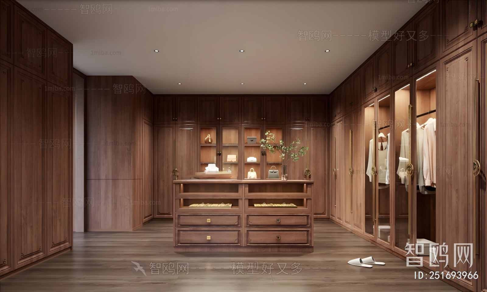 European Style Clothes Storage Area