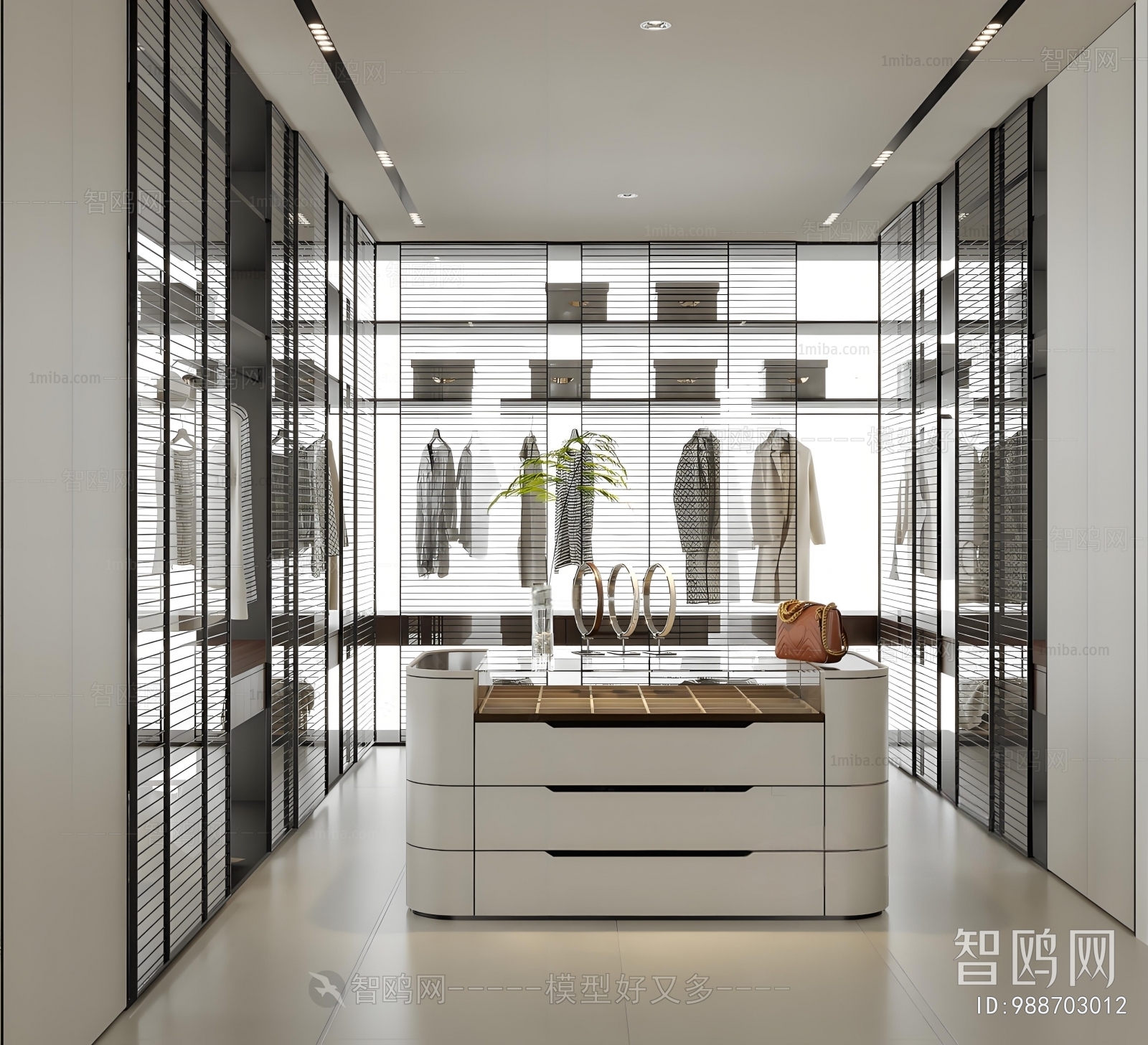 Modern Clothes Storage Area