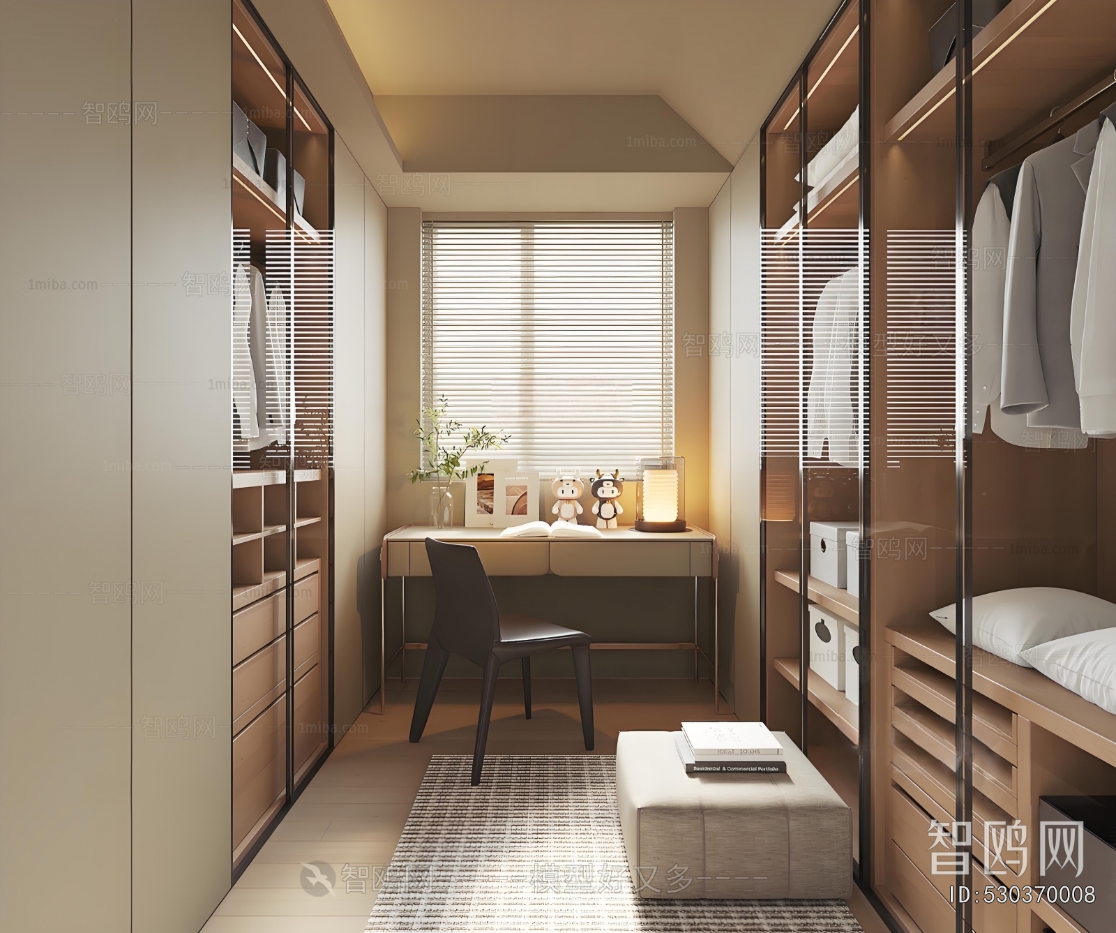 Modern Clothes Storage Area