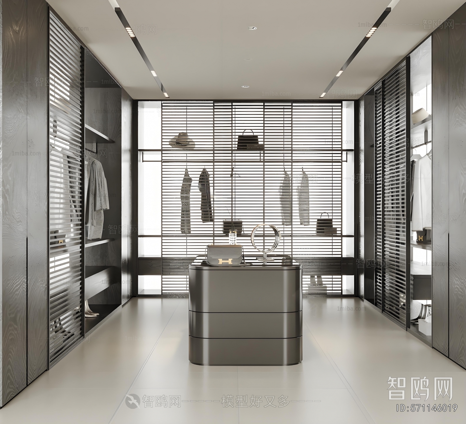 Modern Clothes Storage Area