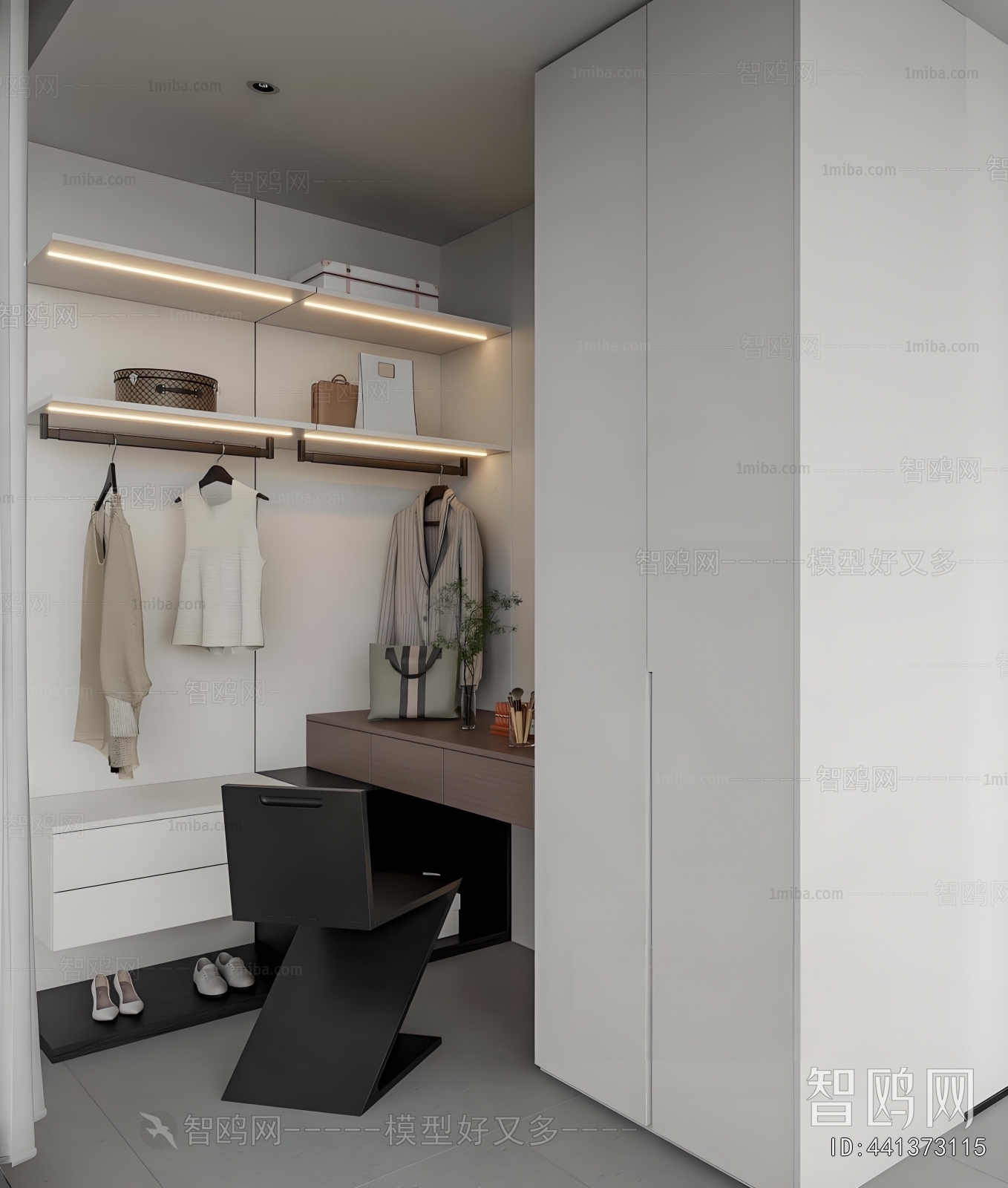 Modern Clothes Storage Area