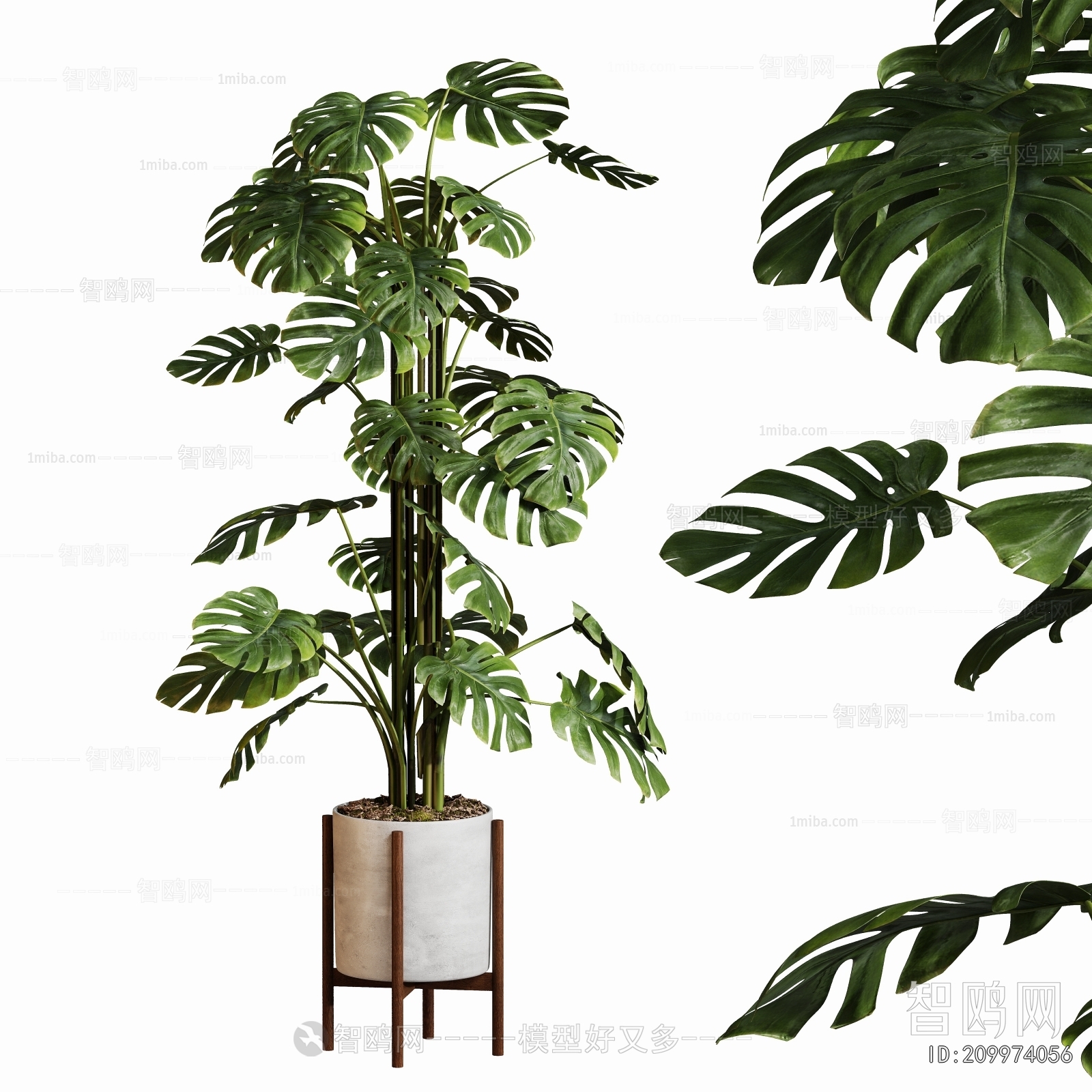 Modern Ground Green Plant Potted Plants