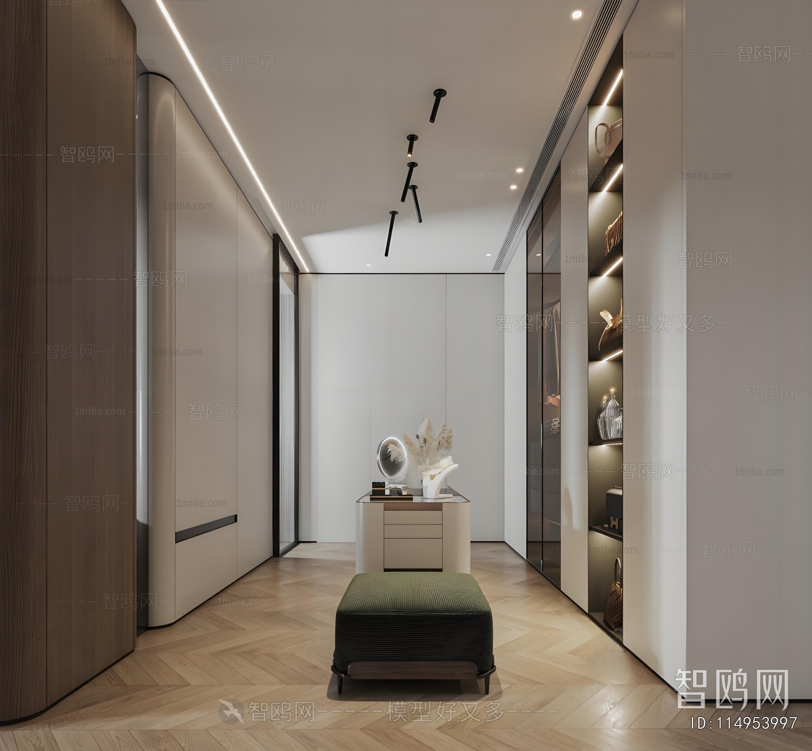 Modern Clothes Storage Area