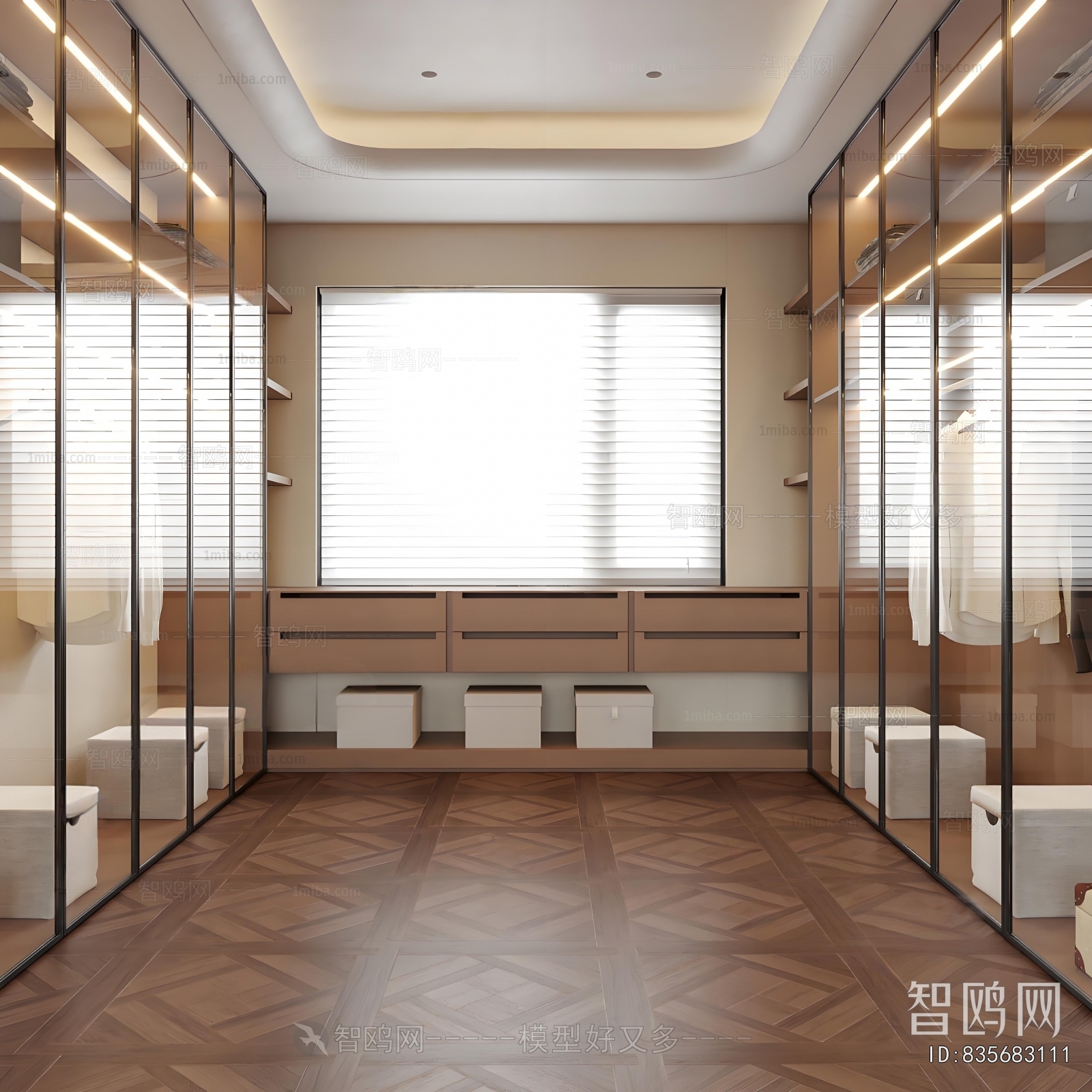 Modern Clothes Storage Area