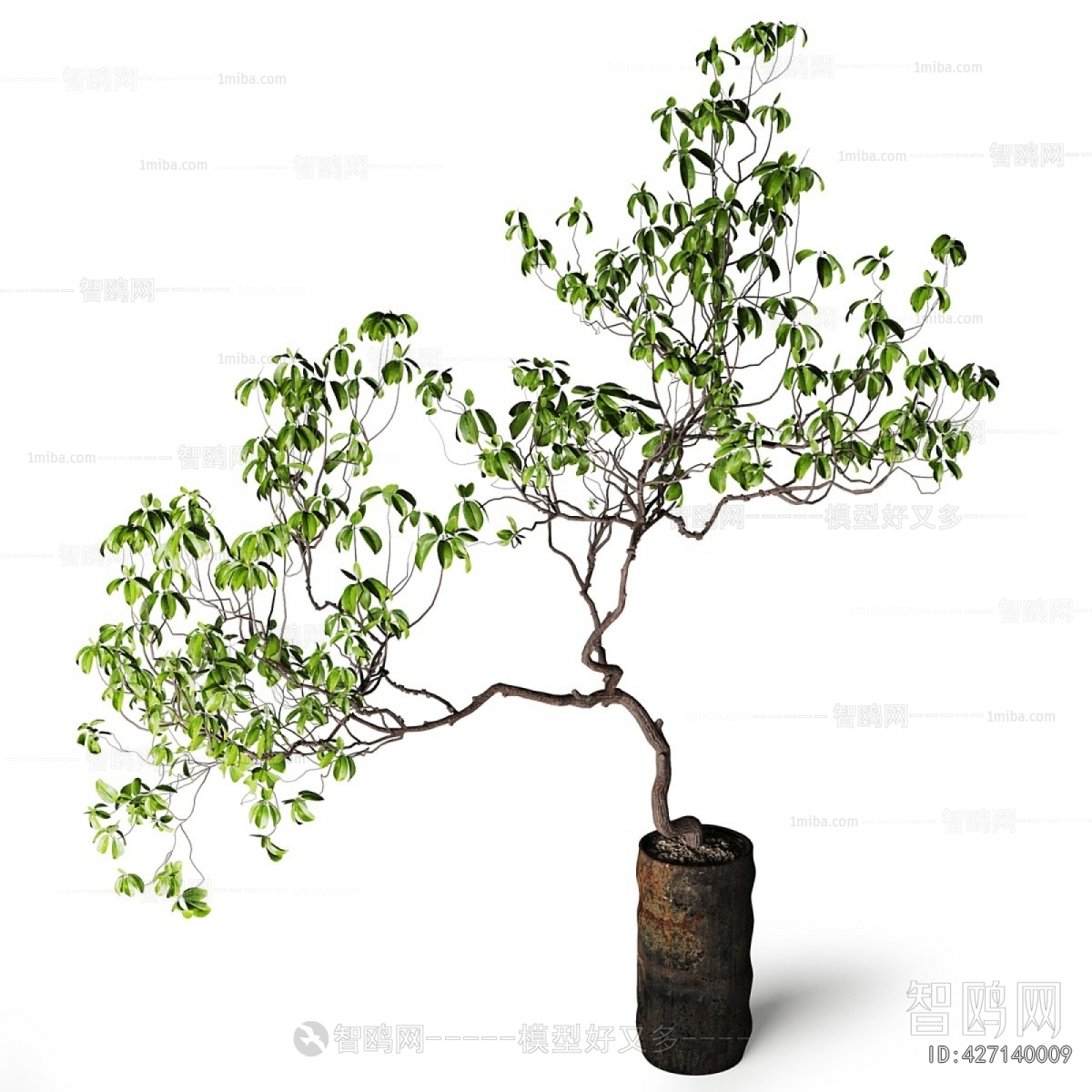 Modern Ground Green Plant Potted Plants