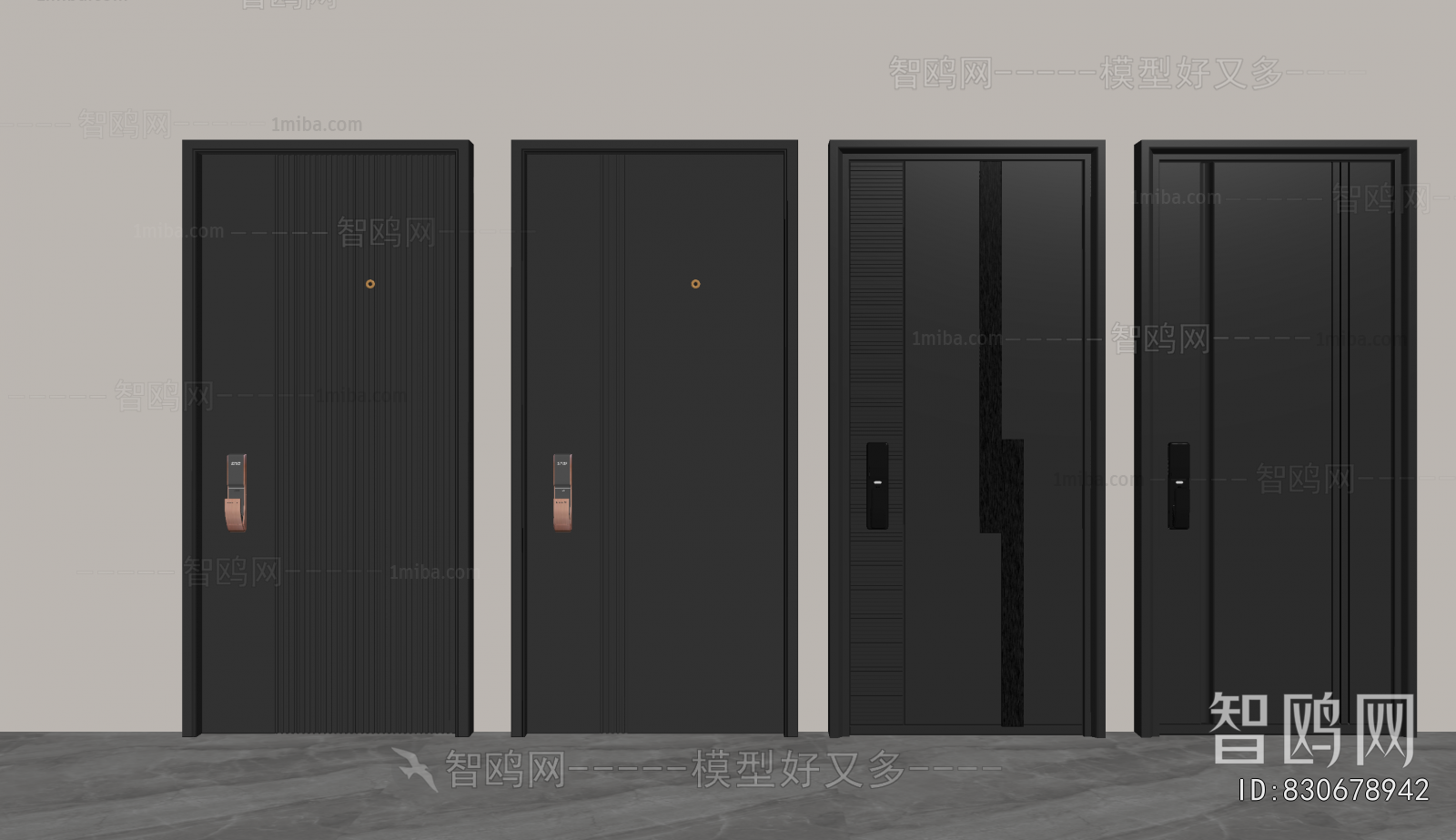 Modern Entrance Door