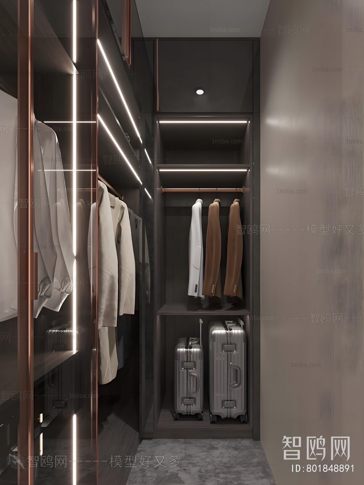 Modern Clothes Storage Area