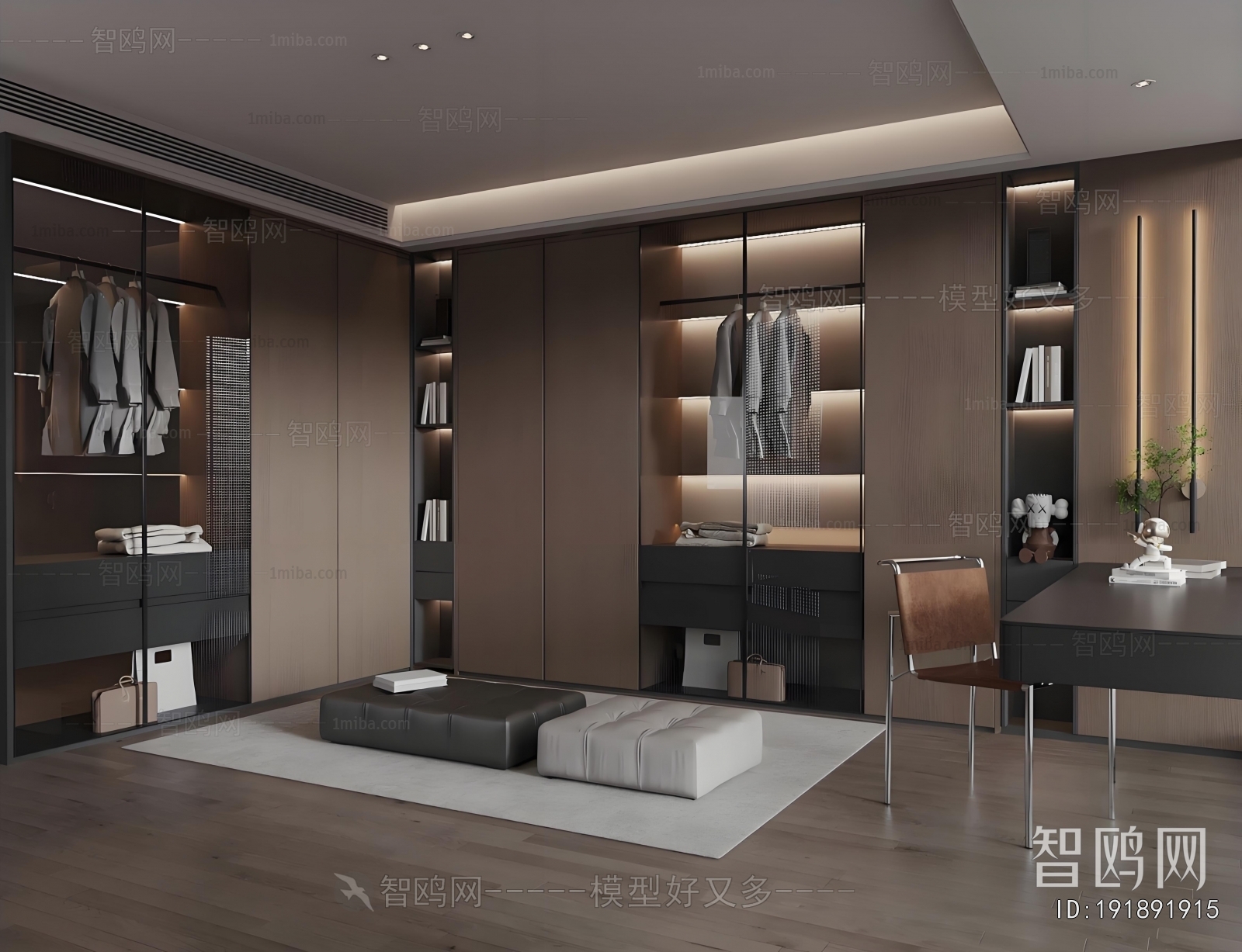 Modern Clothes Storage Area