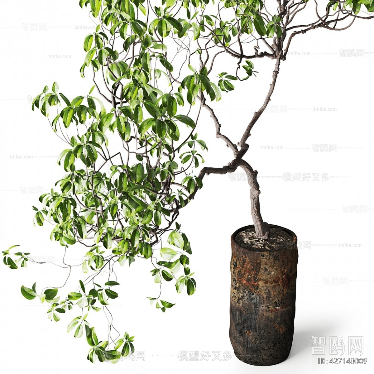 Modern Ground Green Plant Potted Plants