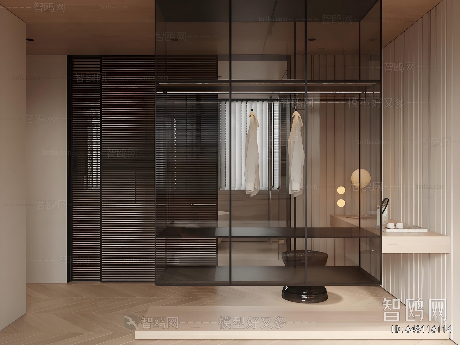 Modern Clothes Storage Area