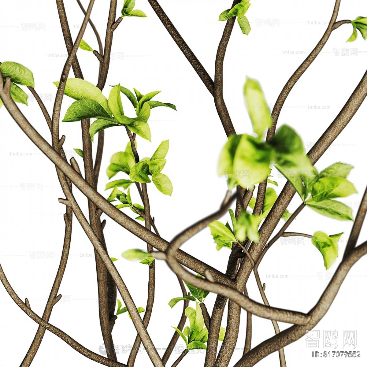 Modern Aquatic Green Plant