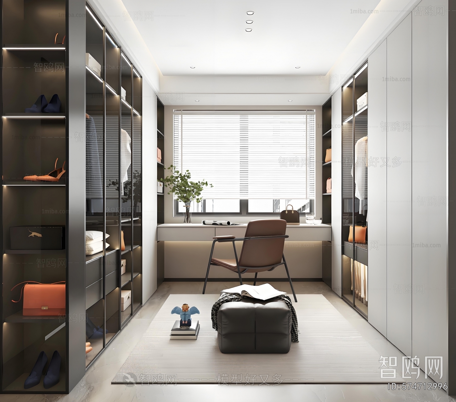 Modern Clothes Storage Area