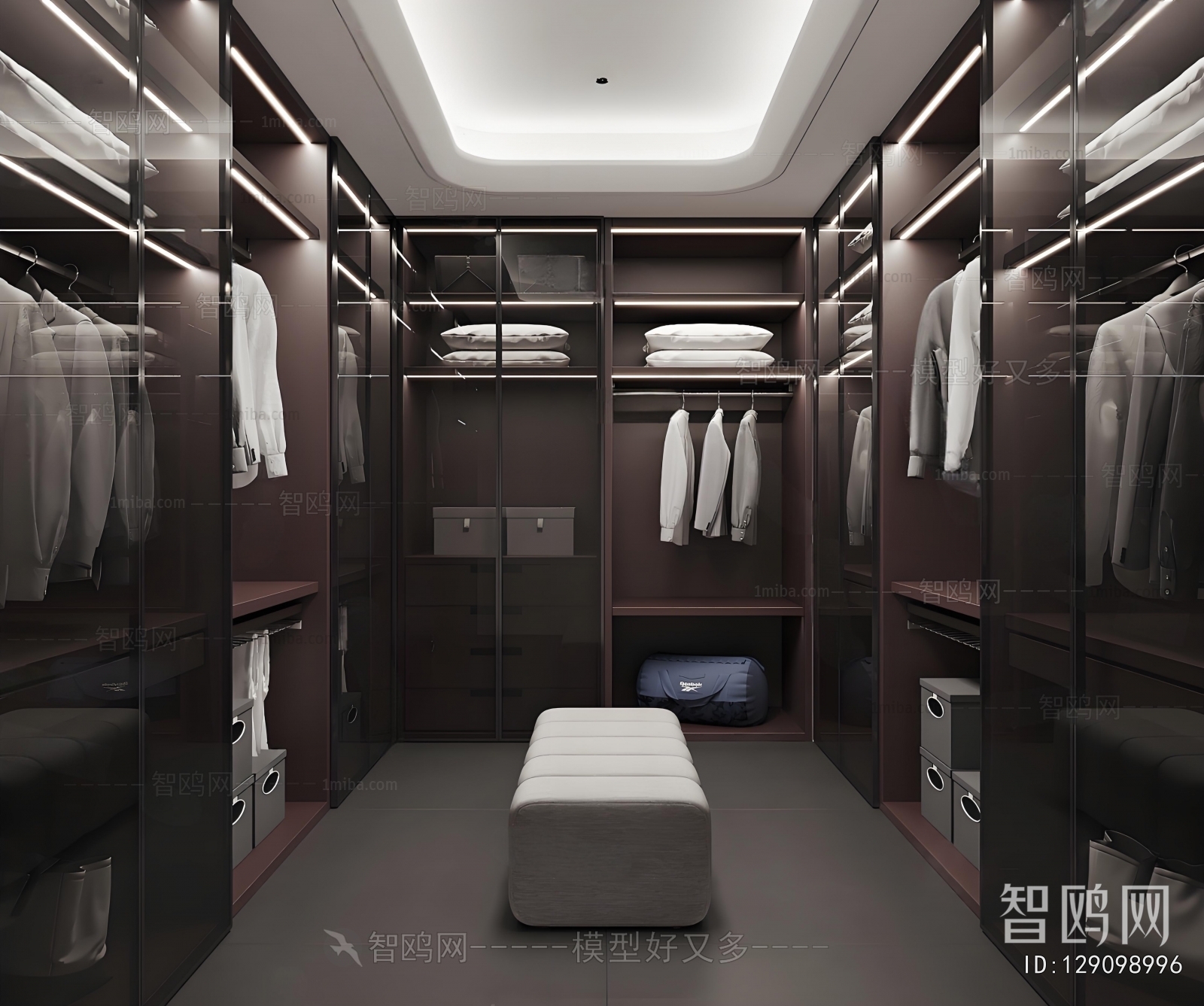 Modern Clothes Storage Area