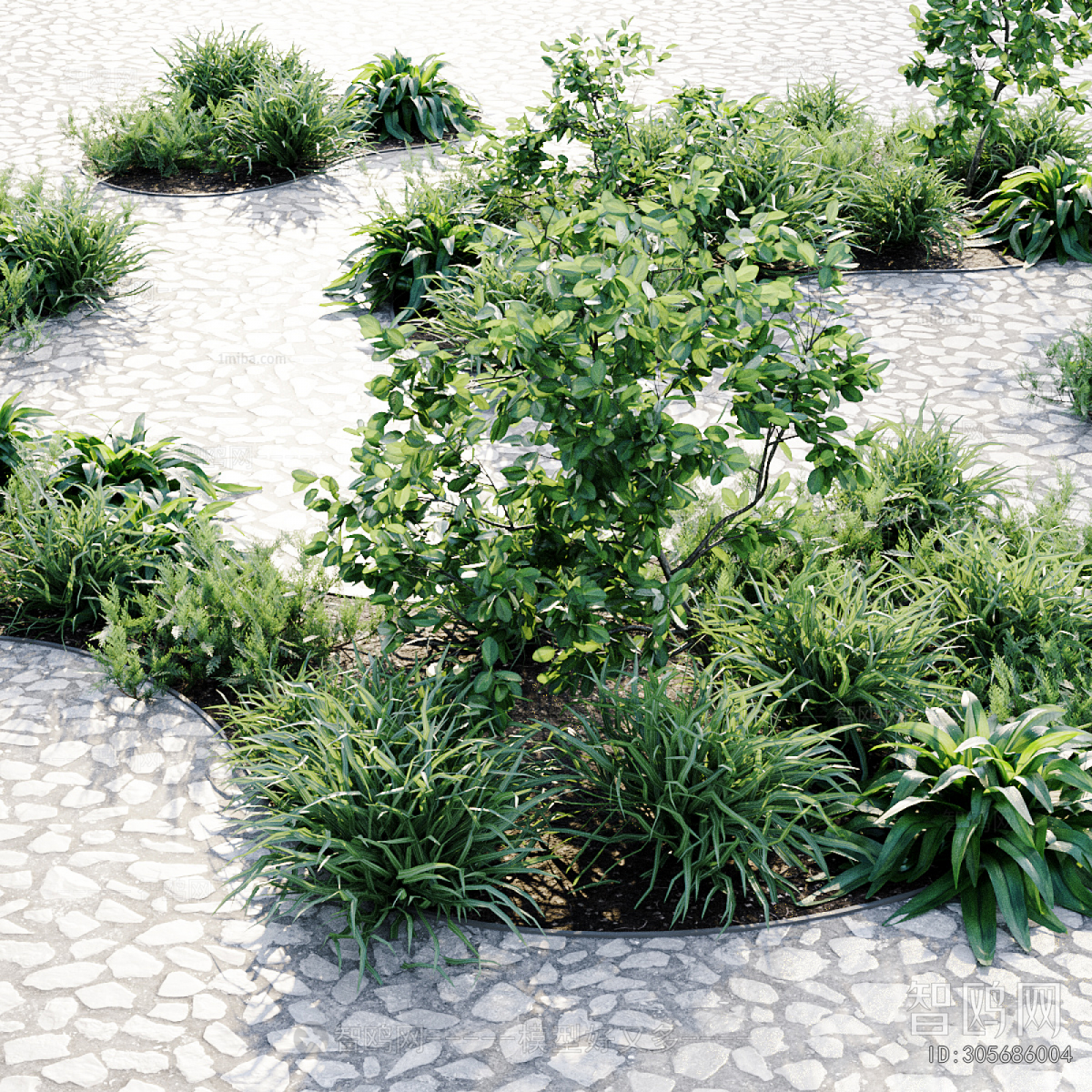 Modern Courtyard/landscape