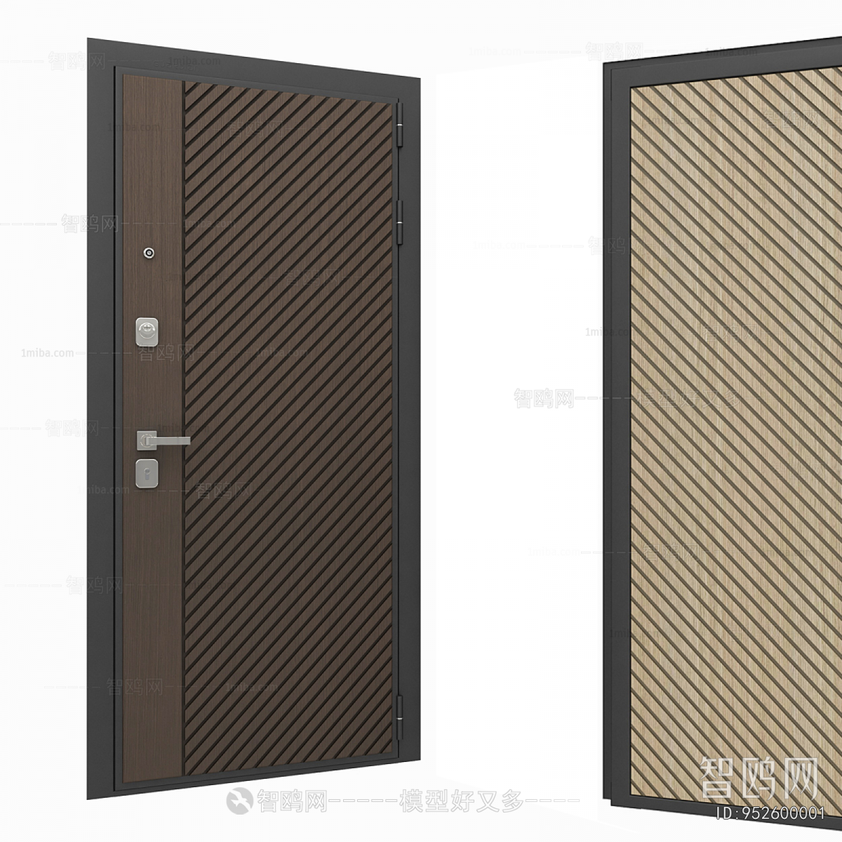 Modern Entrance Door