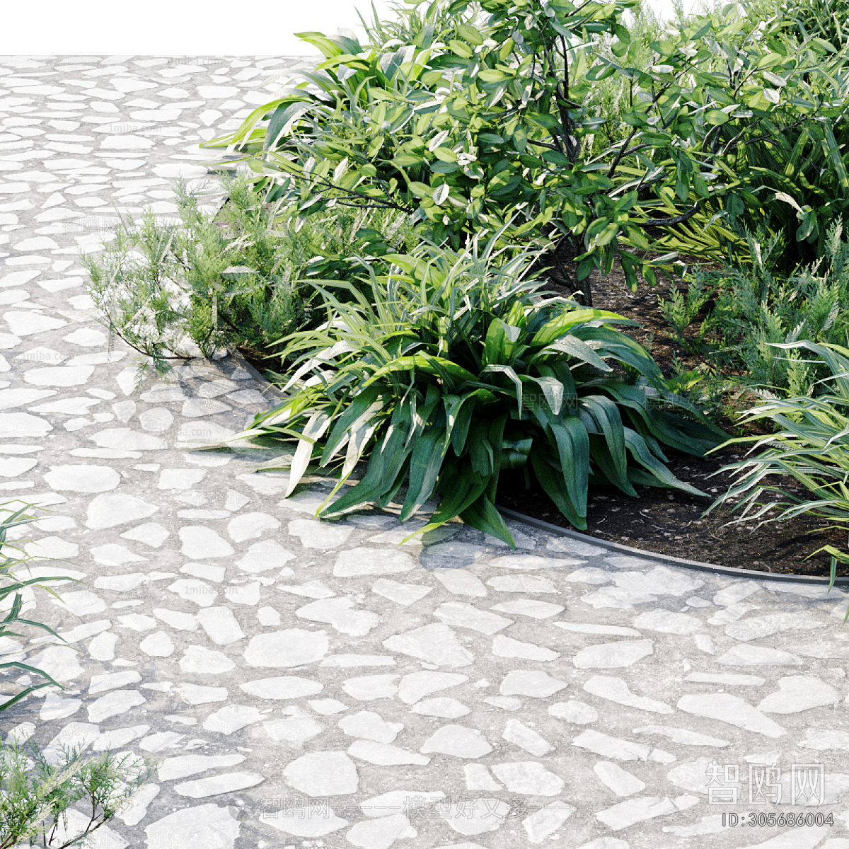 Modern Courtyard/landscape
