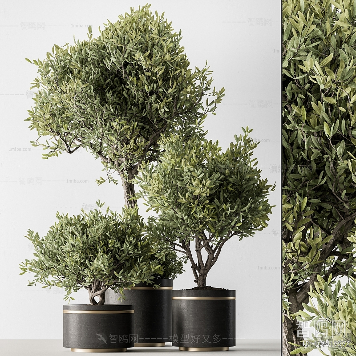 Modern Ground Green Plant Potted Plants