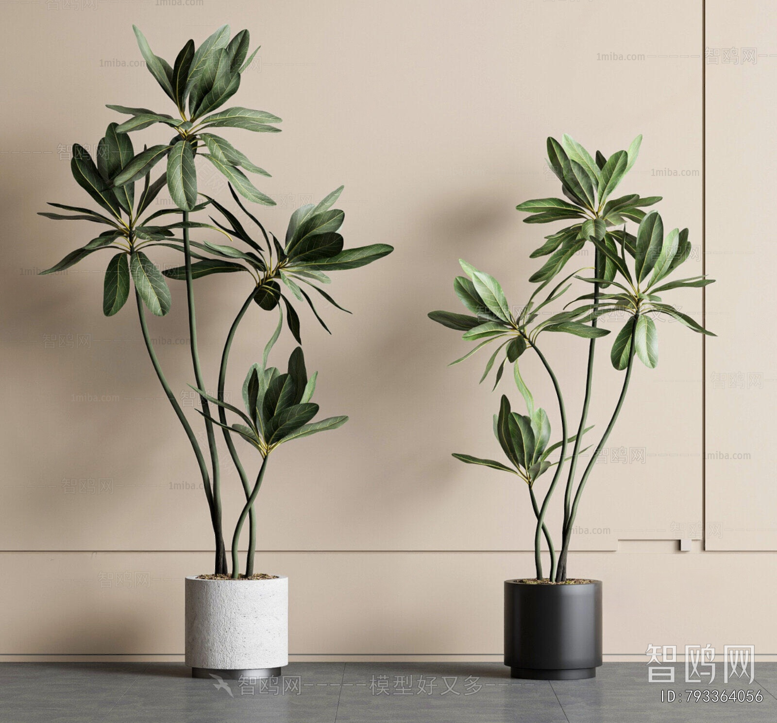 Modern Ground Green Plant Potted Plants
