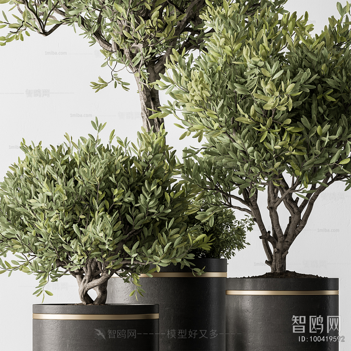 Modern Ground Green Plant Potted Plants