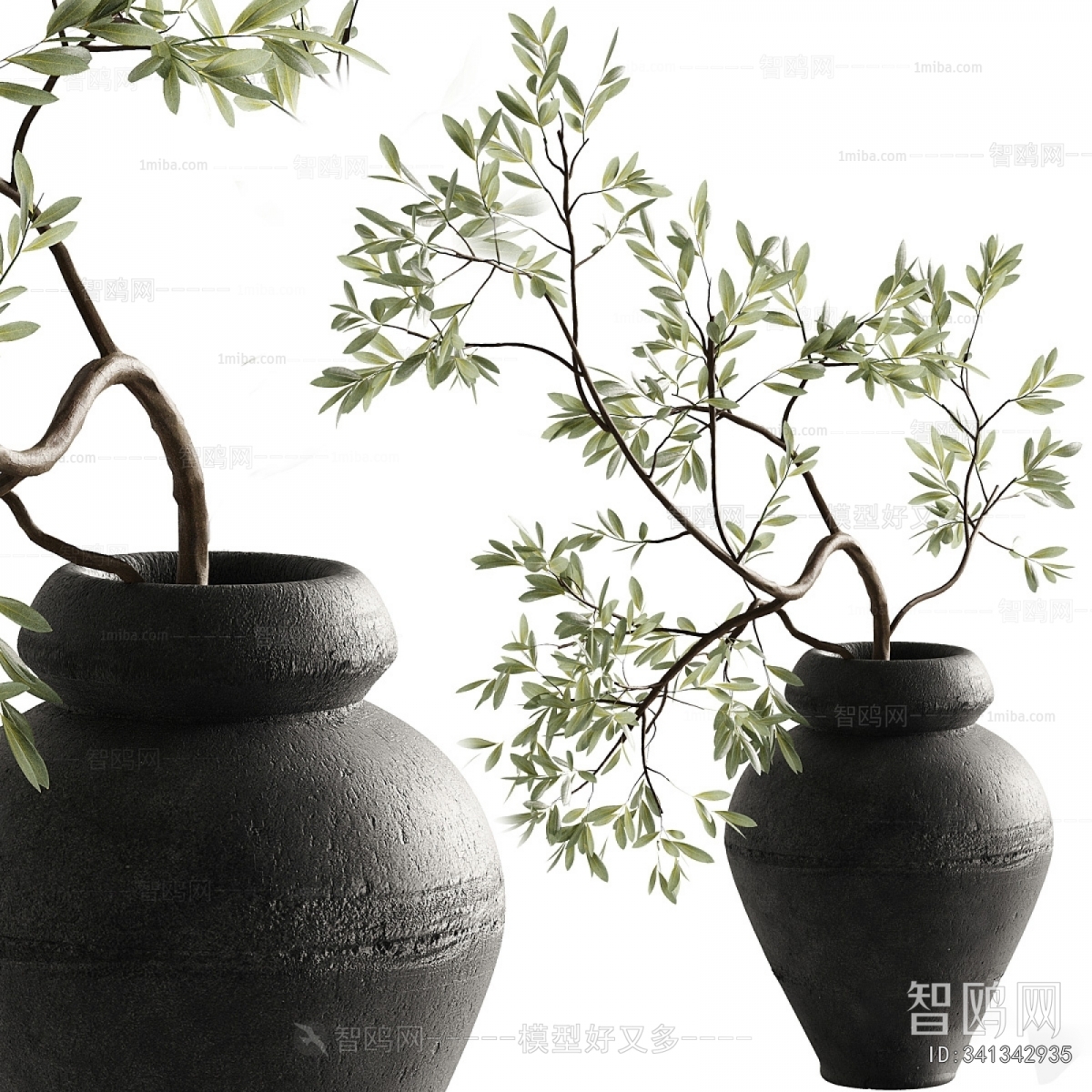 Wabi-sabi Style Potted Green Plant