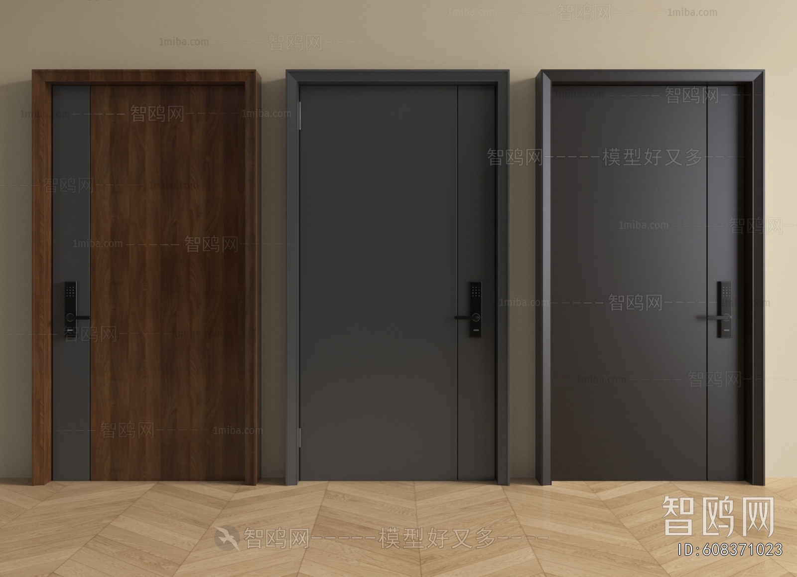 Modern Entrance Door