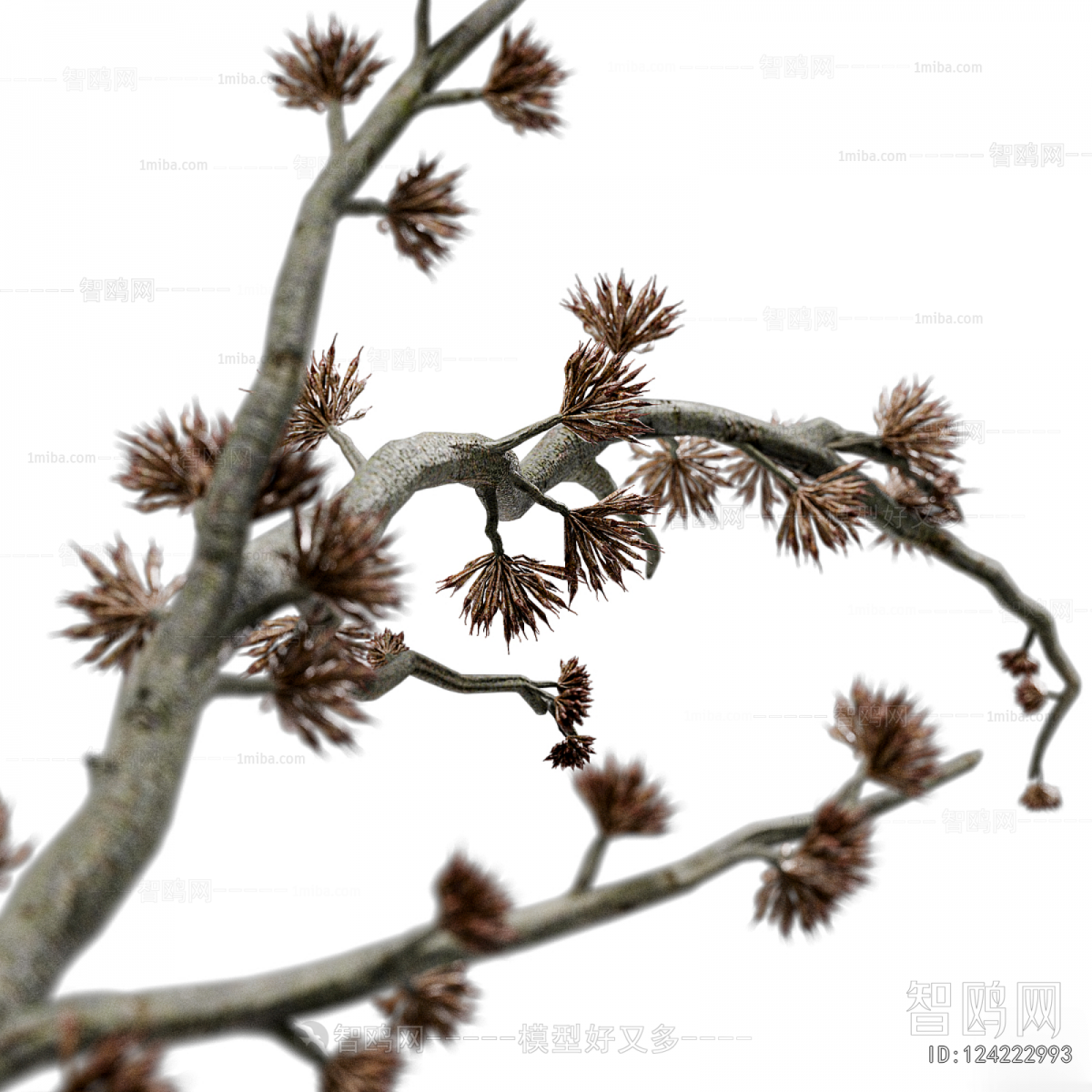 Wabi-sabi Style Flowers