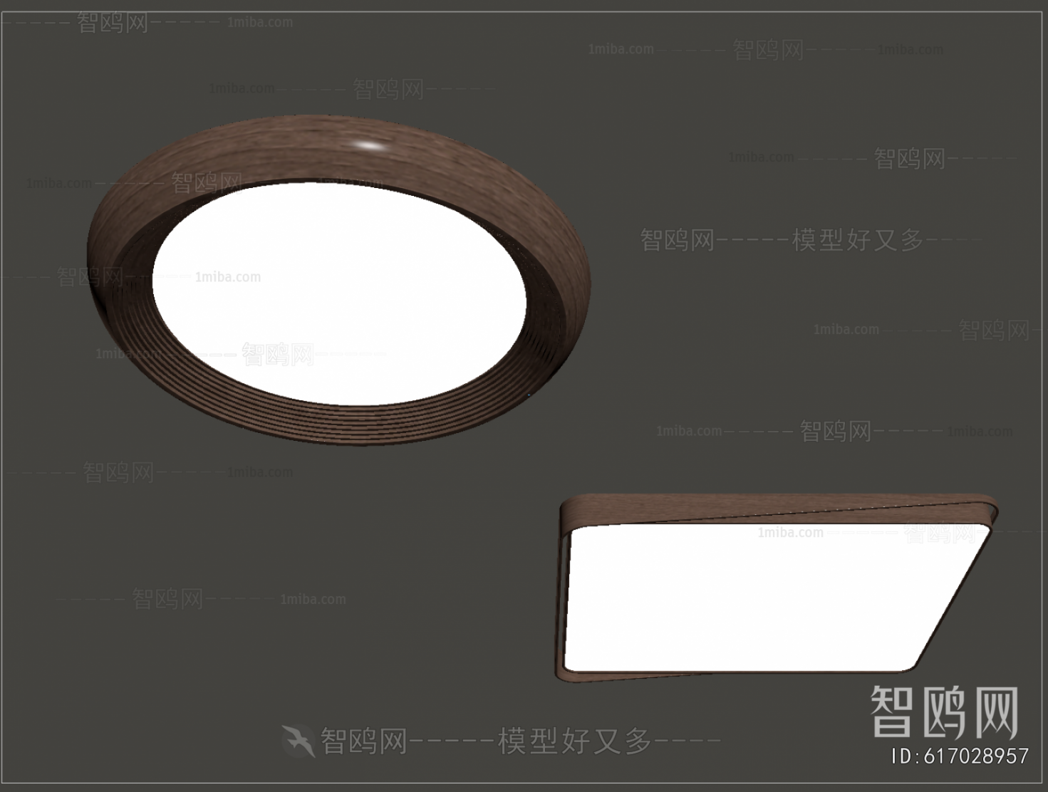 Modern Ceiling Ceiling Lamp