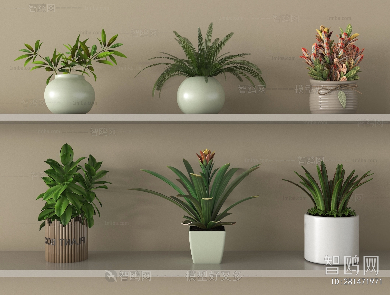Modern Potted Green Plant