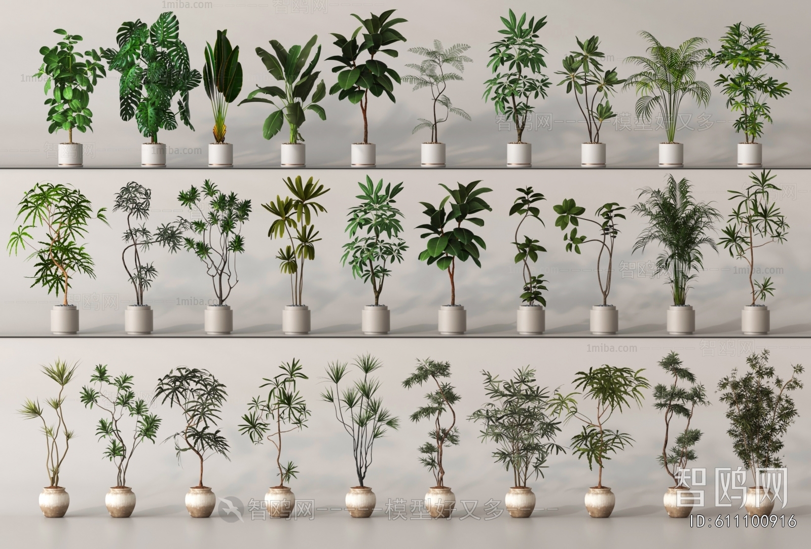 Modern Ground Green Plant Potted Plants